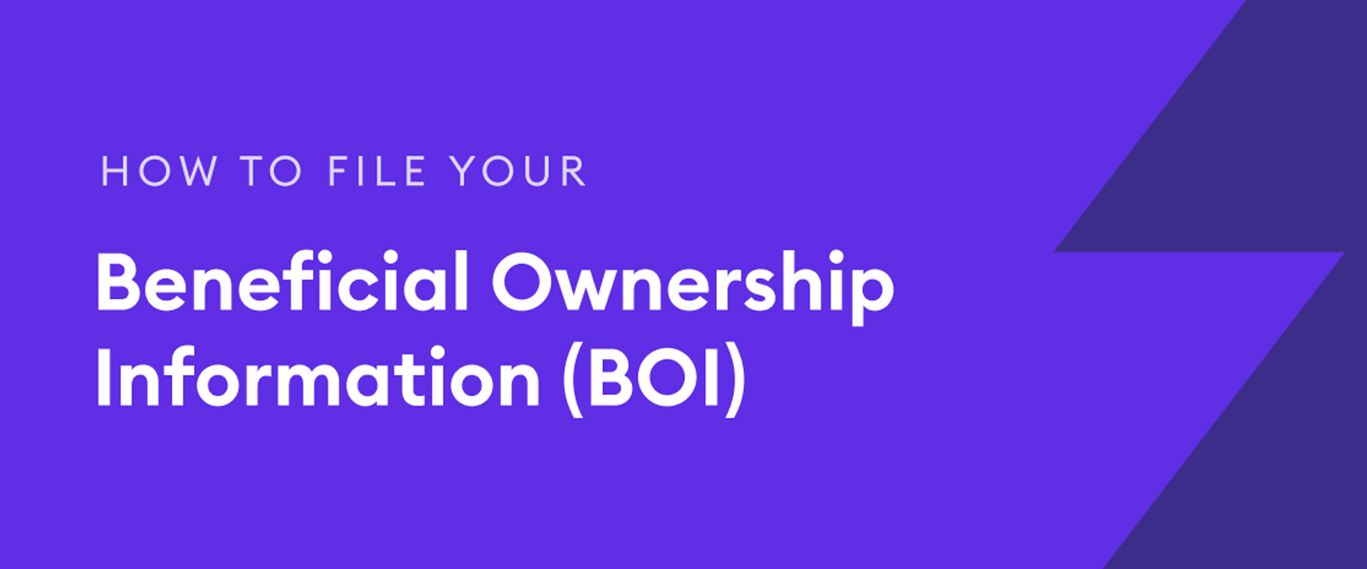 BOI Filing Service (Beneficial Ownership Information)